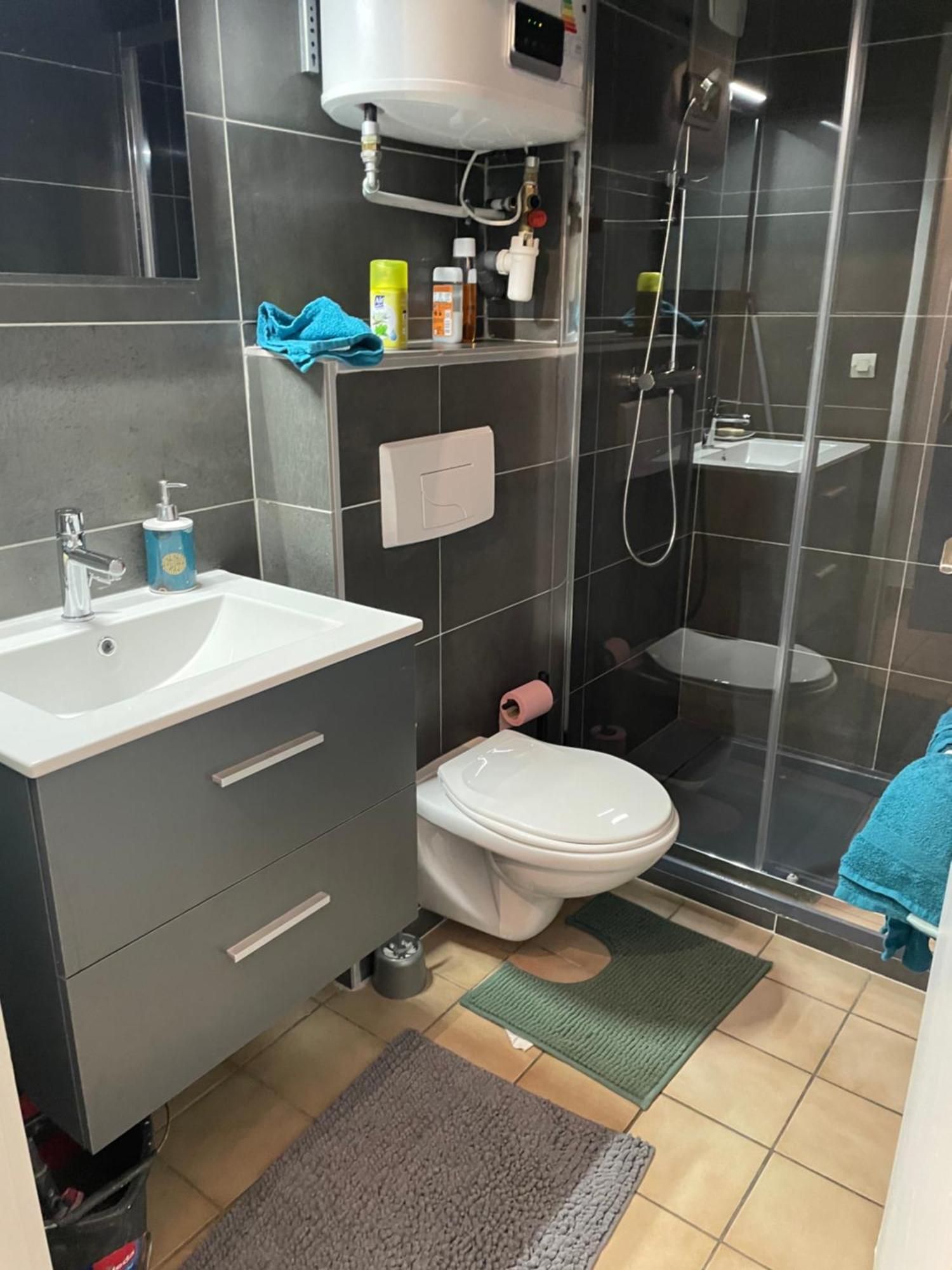 Appartement Duplex T1 Albertville Zewnętrze zdjęcie