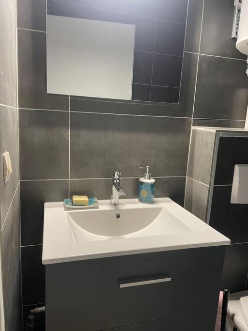 Appartement Duplex T1 Albertville Zewnętrze zdjęcie