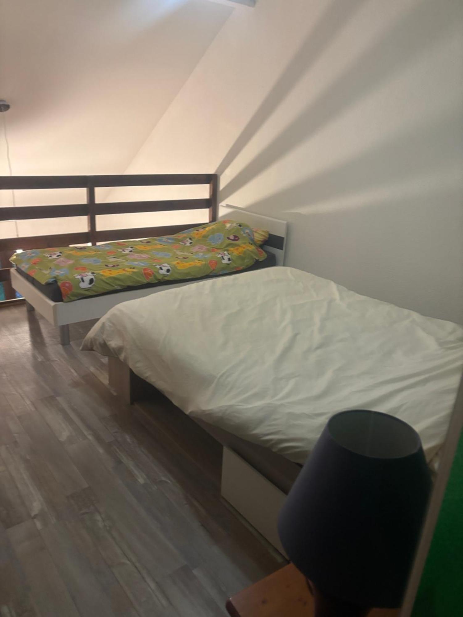 Appartement Duplex T1 Albertville Zewnętrze zdjęcie